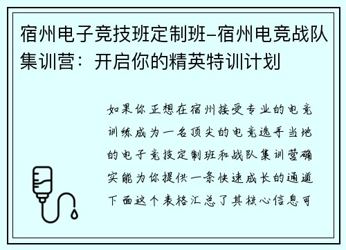 宿州电子竞技班定制班-宿州电竞战队集训营：开启你的精英特训计划